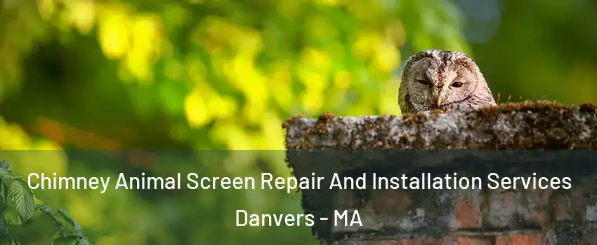  Chimney Animal Screen Repair And Installation Services Danvers - MA