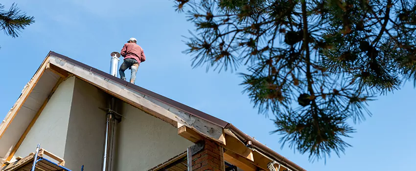 Birds Removal Contractors from Chimney in Danvers, MA
