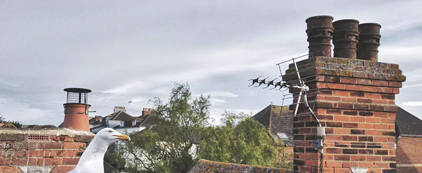 Chimney Cleaning And Restoration in Danvers, Massachusetts