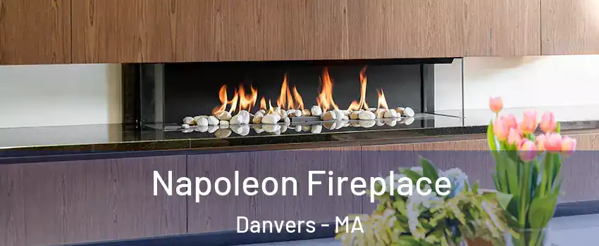  Napoleon Fireplace Danvers - MA